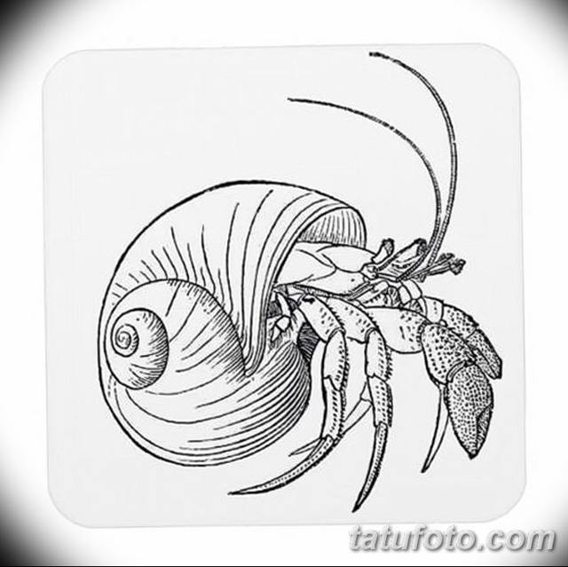 Tatouage du signe astrologique du crabe pour les hommes : collection de designs, photos