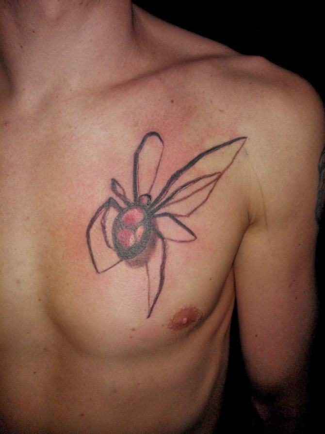 Tatouage amulette araignée