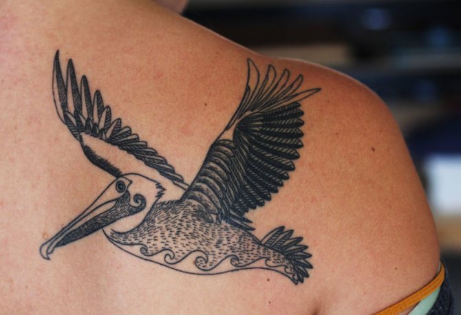 Amulette de tatouage en forme de pélican