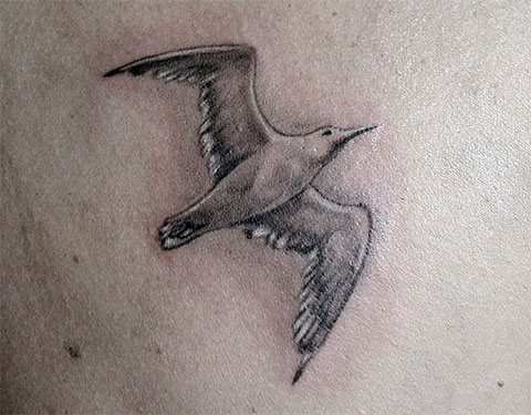Tatouage de mouette