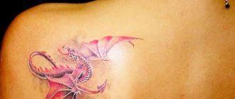 Tatouage d'un dragon. Photo, signification, dessins pour filles, hommes. Photo
