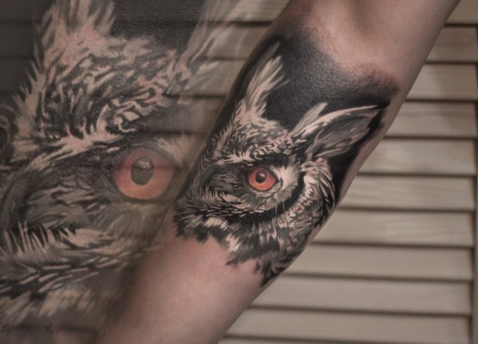 Tatouage de chouette : style réaliste