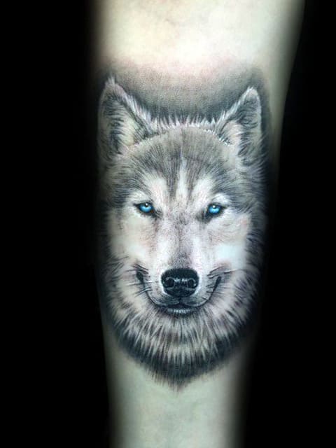Tatouage de husky