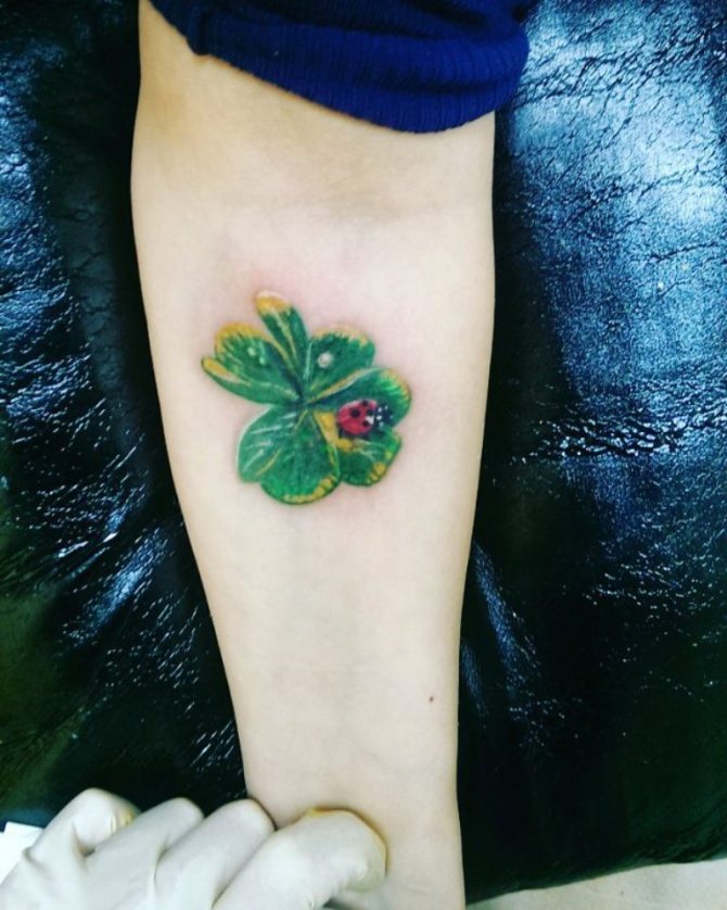 Tatouage d'un trèfle et d'une coccinelle