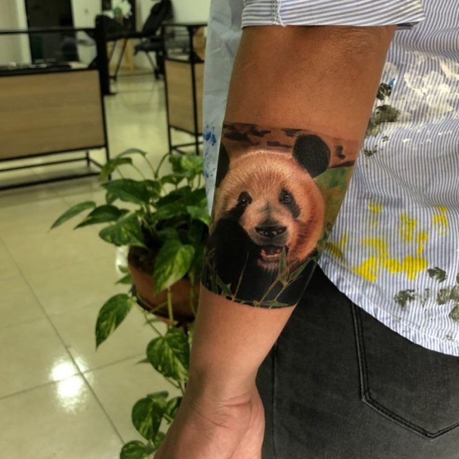 signification du tatouage d'un ours