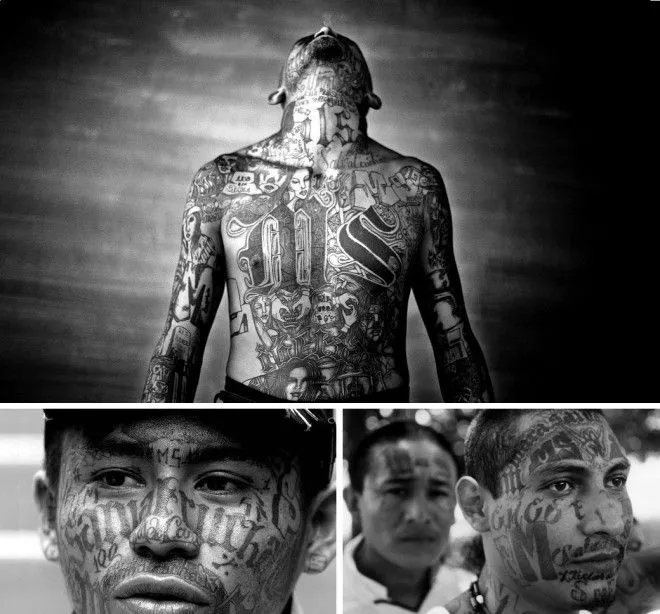 Tatouage MS 13