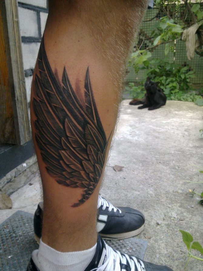 Tatouage d'ailes sur le tibia