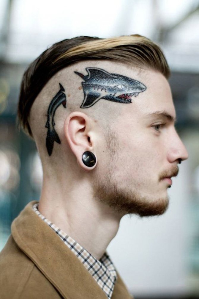 Tatouage de requin sur la tête d'un homme
