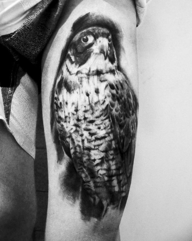 Tatouage de cuisse d'homme - Falcon