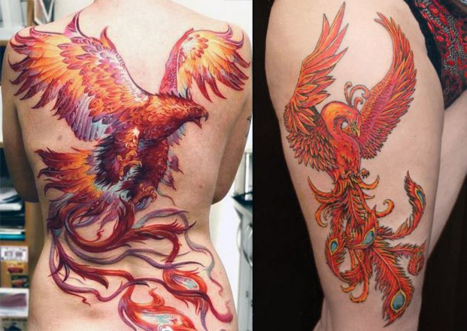 Tatouage d'un phénix sur le dos et la cuisse