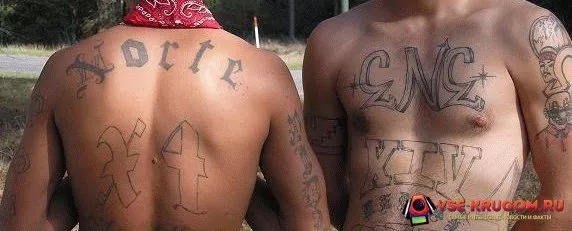 Tattoo Norte