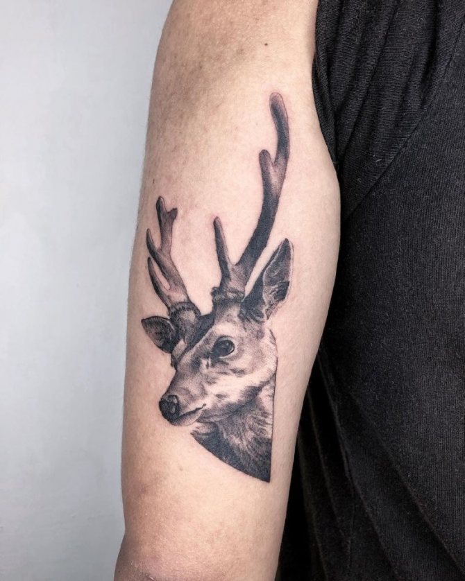 Tatouage d'un cerf