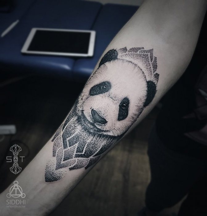 tatouage de panda dotwork sur l'avant-bras