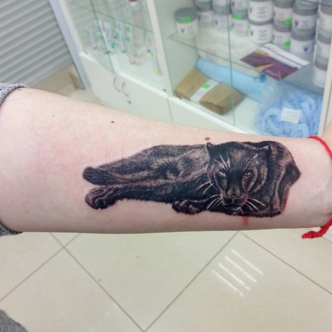 Tatouage de panthère sur l'avant-bras