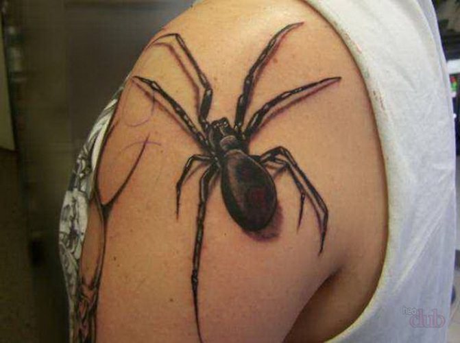 Tatouage d'araignée noir sur l'avant-bras - réalisme