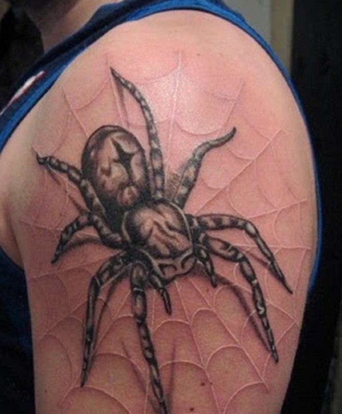 Tatouage d'araignée noire et blanche sur les épaules