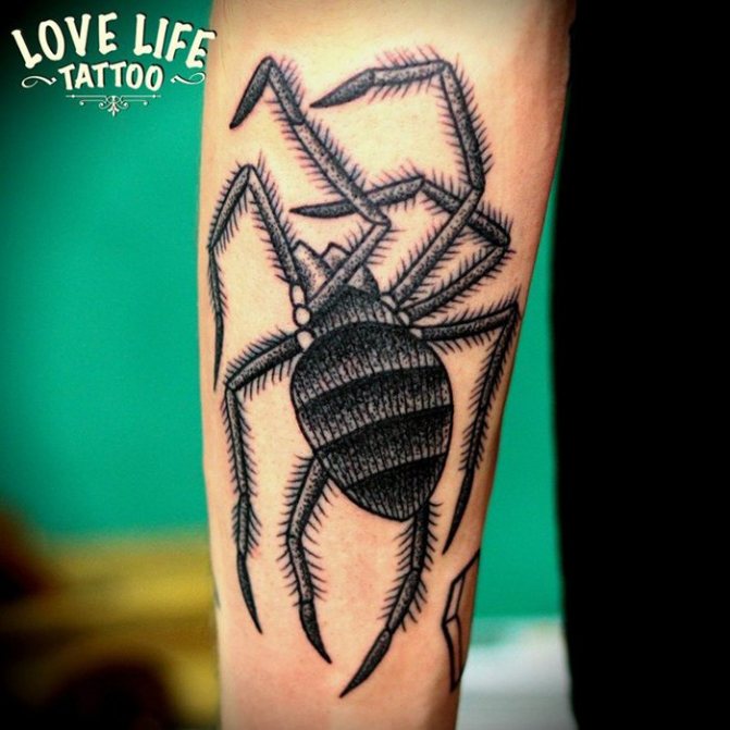 Tatouage d'araignée en pointillés sur l'avant-bras