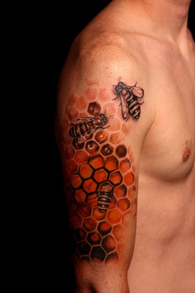 Abeille-tatoueur