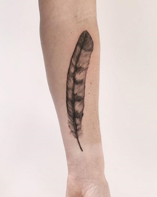 Tatouage d'une plume sur son bras