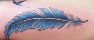 tatouage de plumes