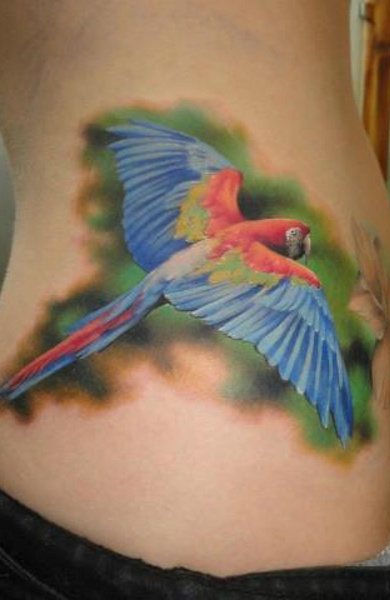 Tatouage de perroquet