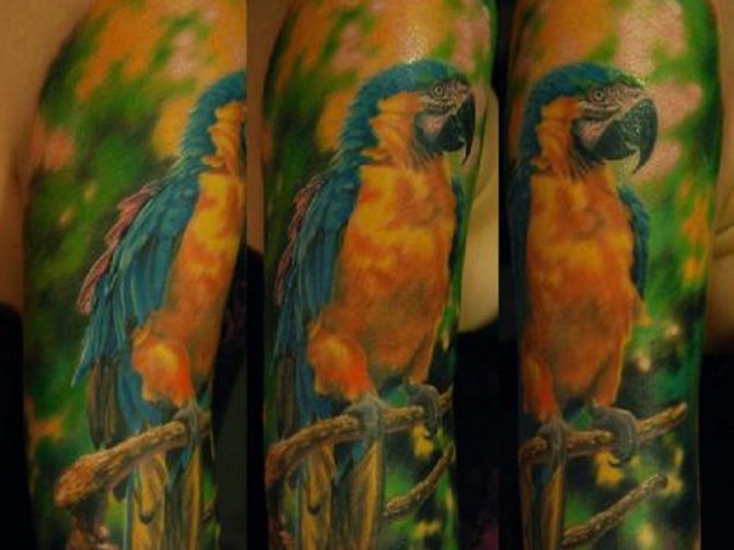 Tatouage de perroquet