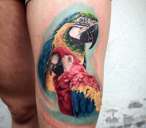 Tatouage d'un perroquet sur les jambes