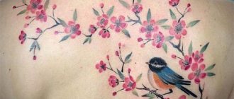 Tatouage avec un cerisier et un oiseau