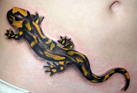 Tatouage de la salamandre