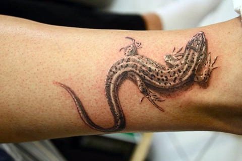 Tatouage d'un lézard