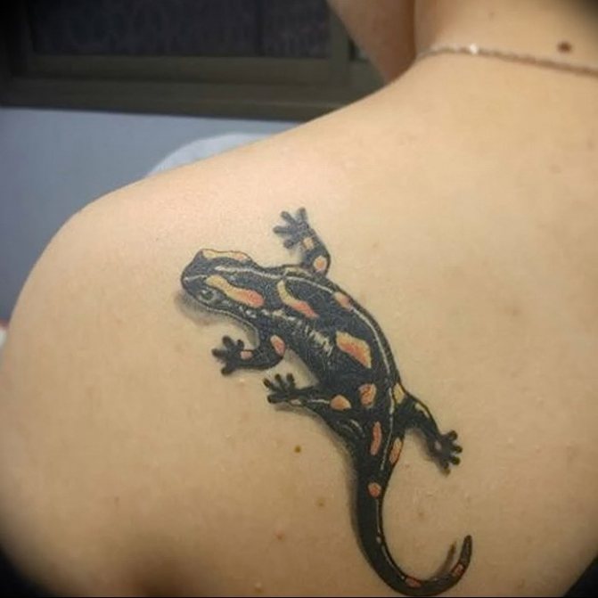 Tatouage réaliste de salamandre sur le dos