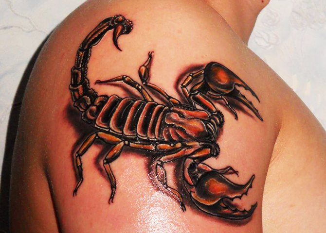 Tatouage d'un scorpion. Qu'est-ce que ça veut dire, croquis sur l'épaule, le bras, le cou, la poitrine...