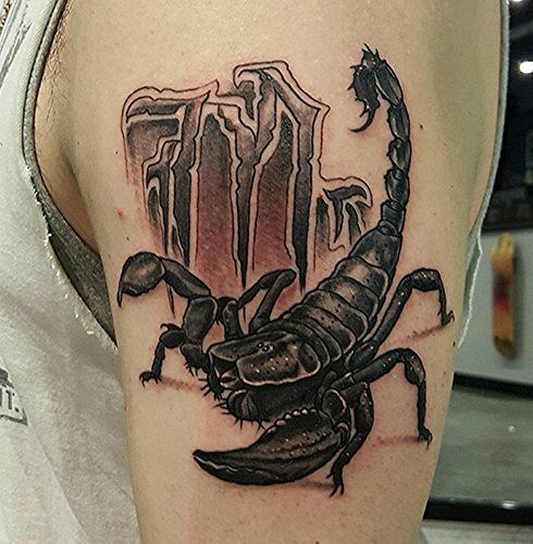 Tatouage d'un scorpion. Qu'est-ce que ça veut dire, croquis sur l'épaule, le bras, le cou, la poitrine...