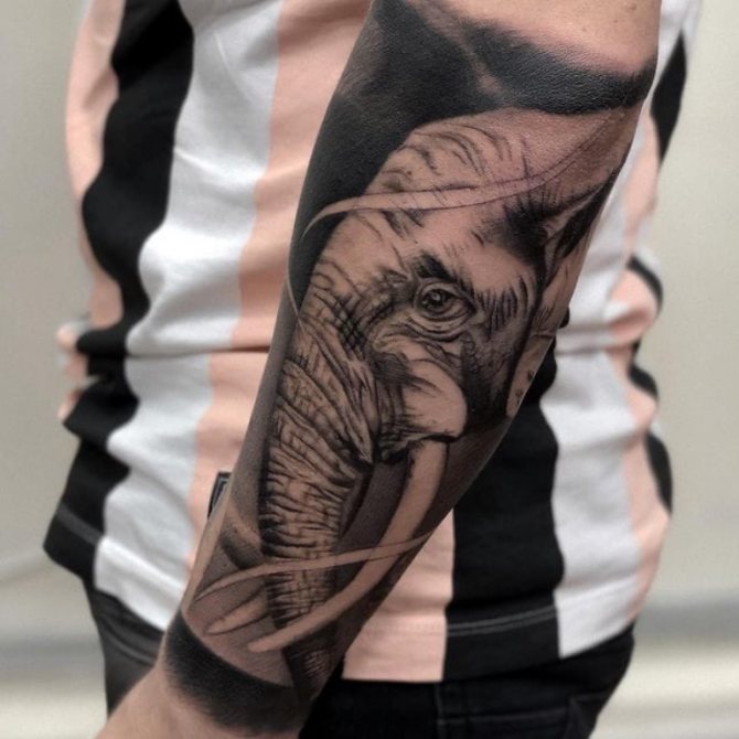 tatouage d'éléphant sur la main