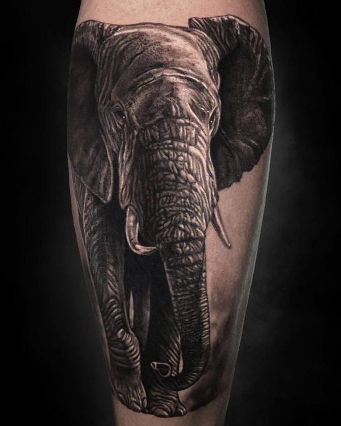 signification du tatouage d'un éléphant