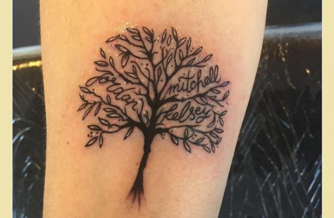 Un arbre généalogique significatif