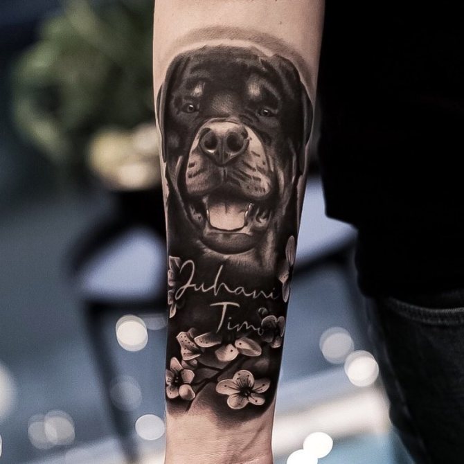 signification du tatouage de chien
