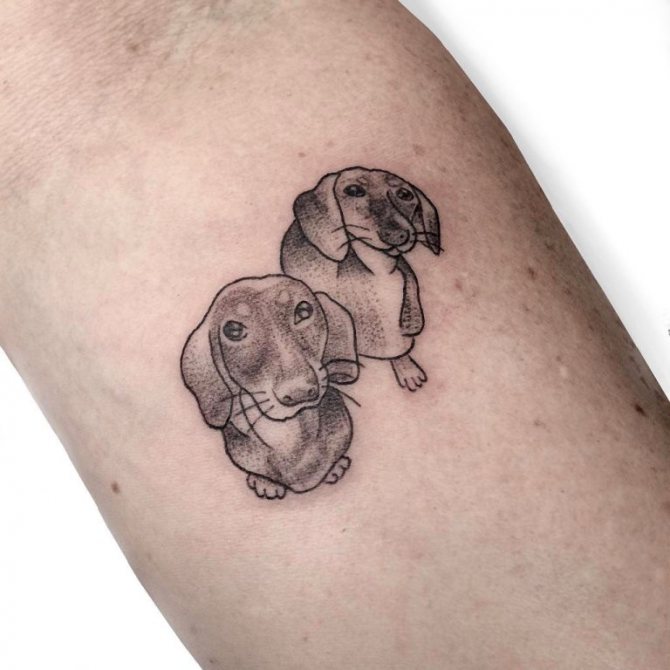 tatouage de chien