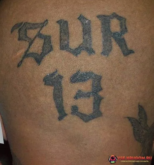 Tatouage SUR 13