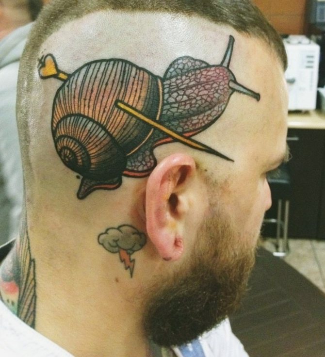 Tatouage de requin sur la tête d'un homme