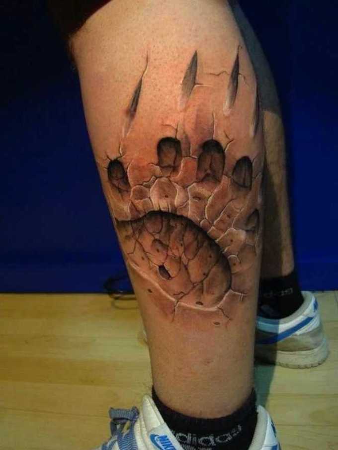Tatouage d'une empreinte de patte d'ours sur le tibia