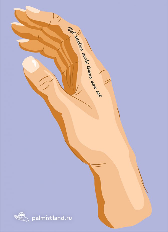 Tattoo Vel caelus mihi limes non est