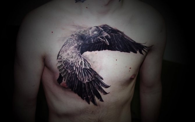 Tatouage d'un corbeau sur la poitrine d'un homme