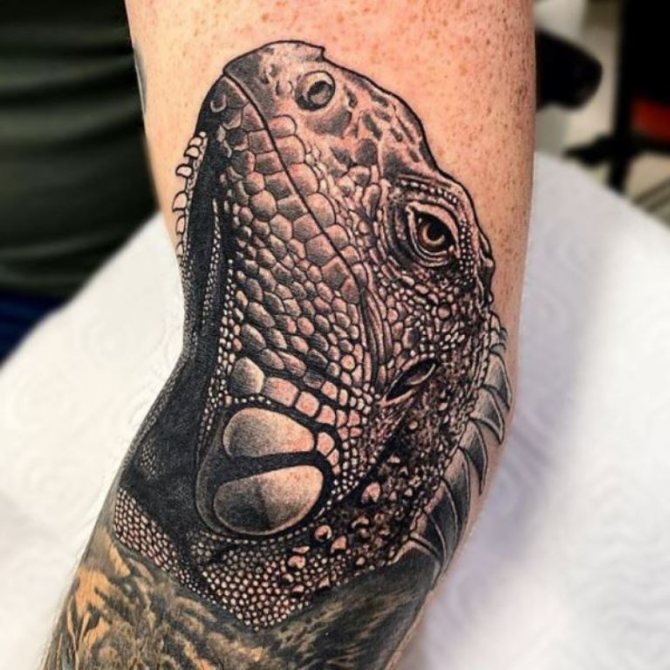 signification du tatouage du lézard