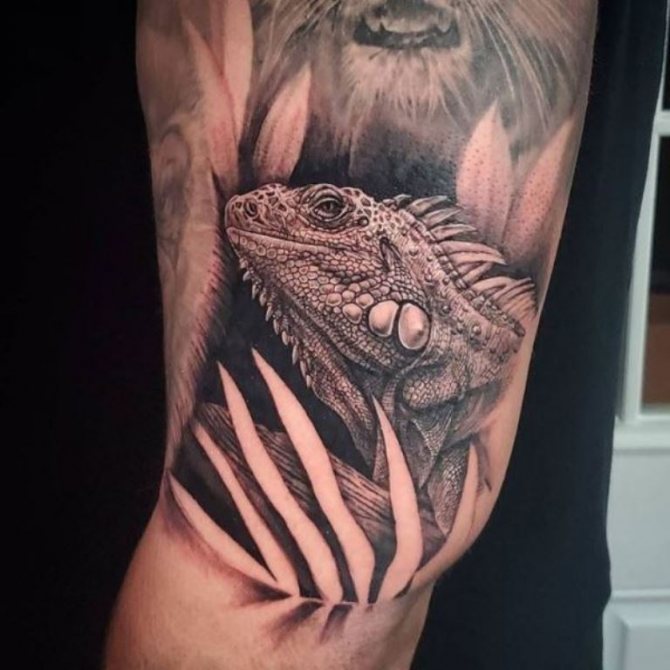 tatouage d'un lézard