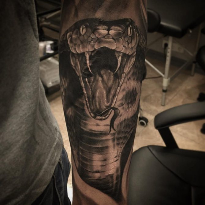 tatouage de serpent