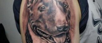 Tatouages pour hommes