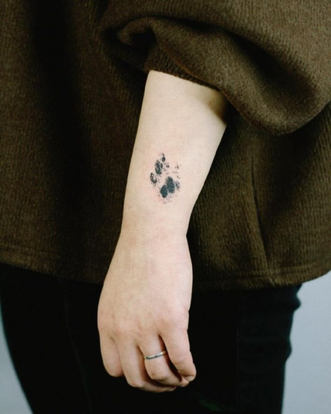 tatouages de chats