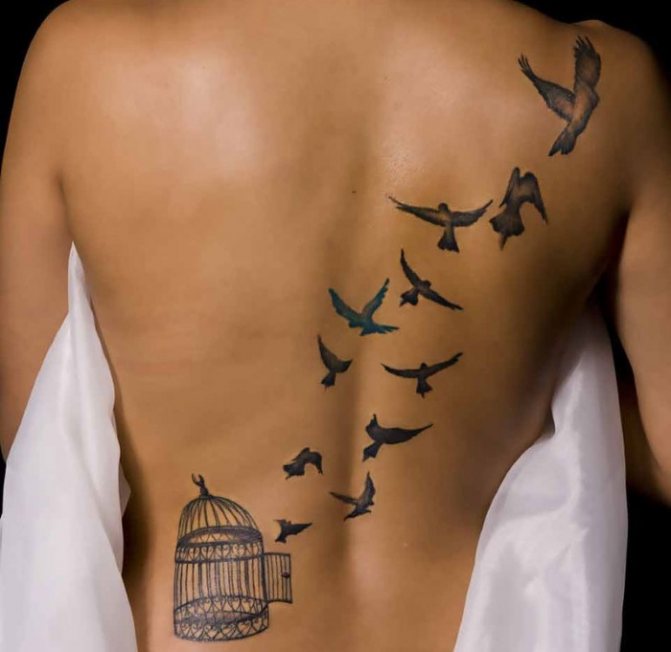 Tatouages sur la colonne vertébrale (dos) des filles : hiéroglyphes, inscriptions avec traduction, fleurs, point, runes, planètes, lignes. De beaux dessins