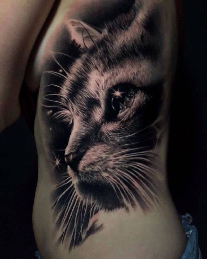 Tatouages de côtes